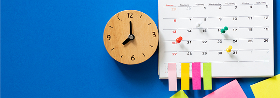 Учебные программы по видам спорта