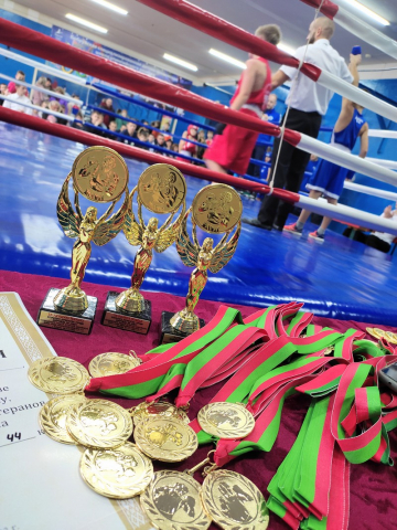 Итоги первенства города по боксу 2022