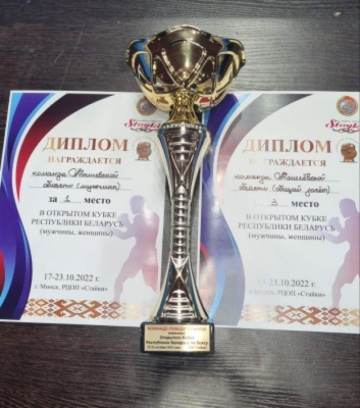Итоги Кубка РБ по боксу