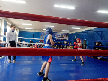 15-18 апреля в Бобруйске проходит первенство г.Бобруйска по боксу посвящённое 80-й годовщине освобождения Республики Беларусь от немецко-фашистских захватчиков